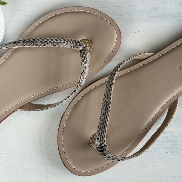 Banana Republic Snakeskin Print Flat Thong Sandals - Picture 4 of 9